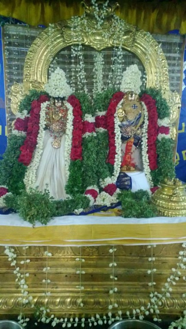 Vanamamalai Sri Deivanayaga perumal vasanthotsavam 13
