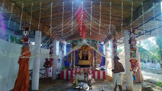 Vanamamalai Sri Deivanayaga perumal vasanthotsavam 14