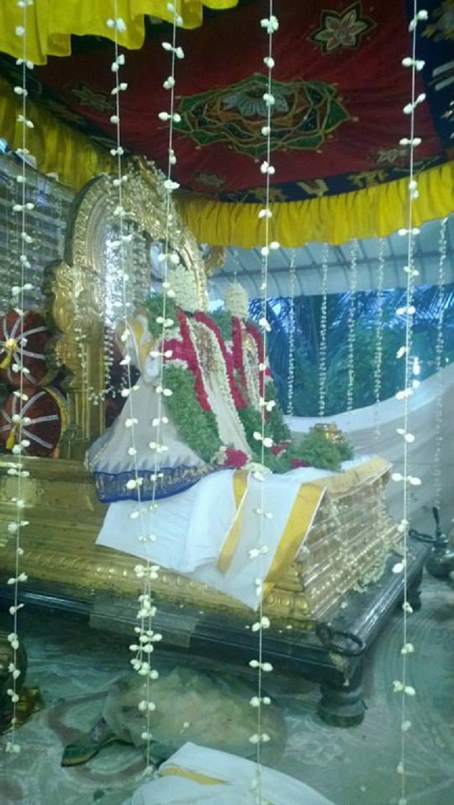 Vanamamalai Sri Deivanayaga perumal vasanthotsavam 15