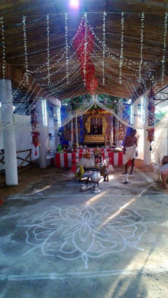 Vanamamalai Sri Deivanayaga perumal vasanthotsavam 2
