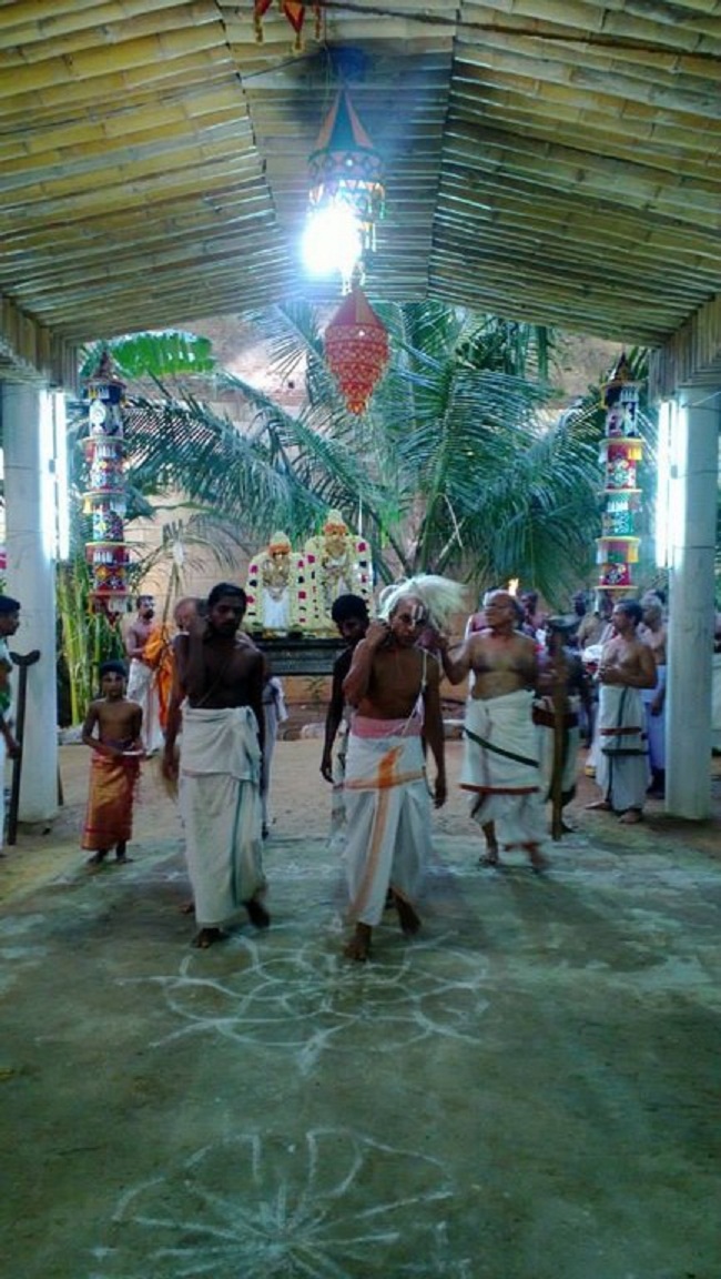 Vanamamalai Sri Deivanayaga perumal vasanthotsavam 3