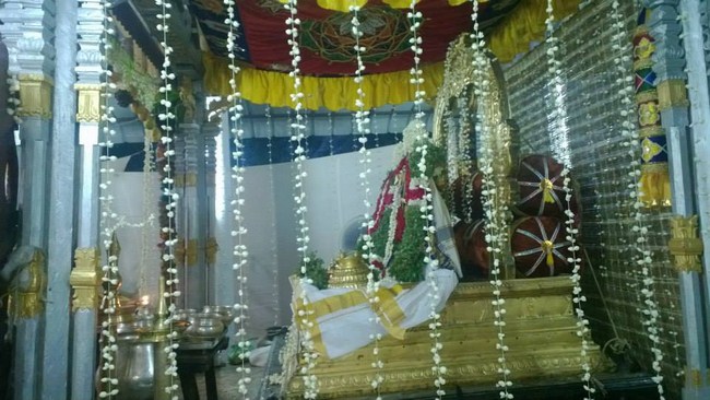 Vanamamalai Sri Deivanayaga perumal vasanthotsavam 6