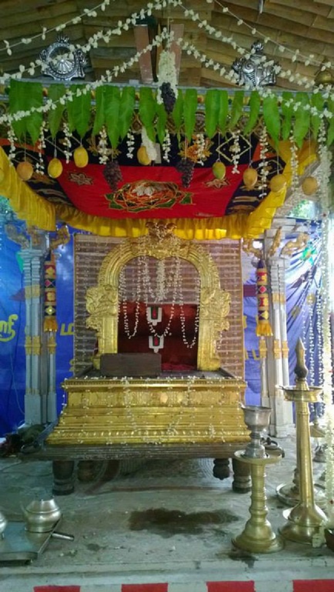 Vanamamalai Sri Deivanayaga perumal vasanthotsavam 7
