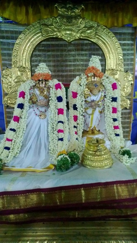 Vanamamalai Sri Deivanayaga perumal vasanthotsavam 8