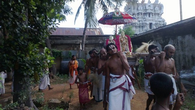 Vanamamalai Sri Deivanayaga perumal vasanthotsavam 9