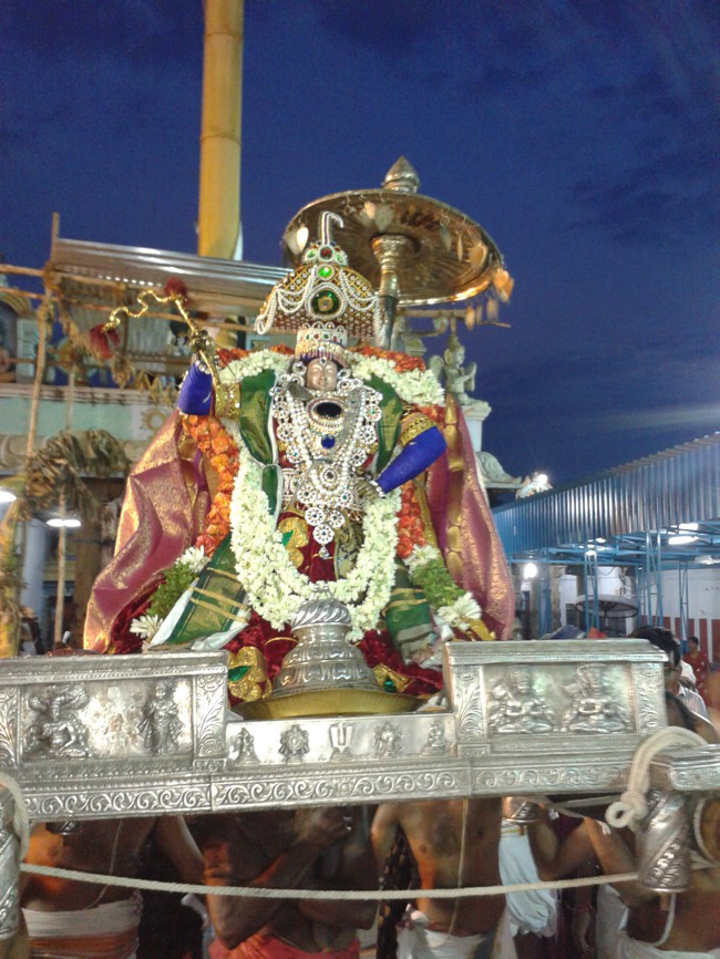 Villivakkam Sowmya Damodara Perumal Temple Brahmotsavam Kudhirai Vahanam  2014--00