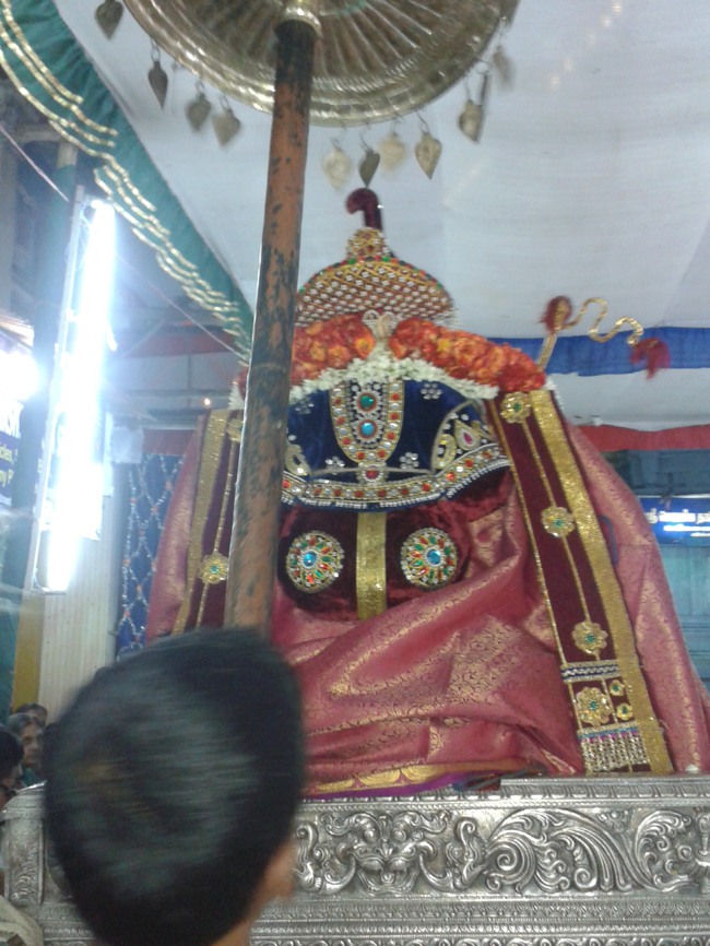 Villivakkam Sowmya Damodara Perumal Temple Brahmotsavam Kudhirai Vahanam  2014--03