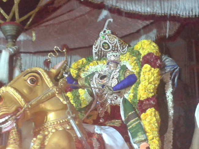 Villivakkam Sowmya Damodara Perumal Temple Brahmotsavam Kudhirai Vahanam  2014--10