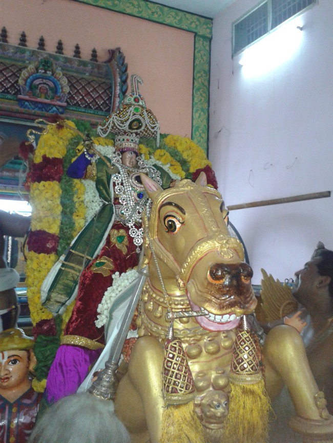 Villivakkam Sowmya Damodara Perumal Temple Brahmotsavam Kudhirai Vahanam  2014--15