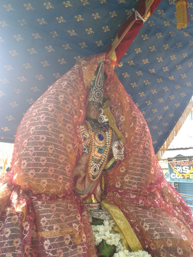 Villivakkam Sowmya damodara perumal Kovil Vaikasi Brahmotsavam Theerthavari 2014 03