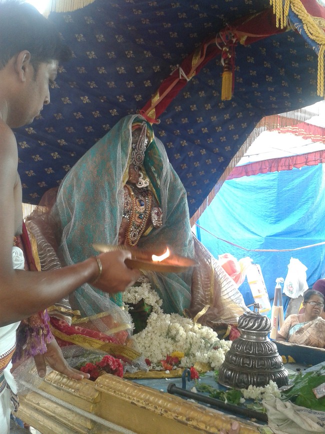 Villivakkam Sowmya damodara perumal Kovil Vaikasi Brahmotsavam Theerthavari 2014 07