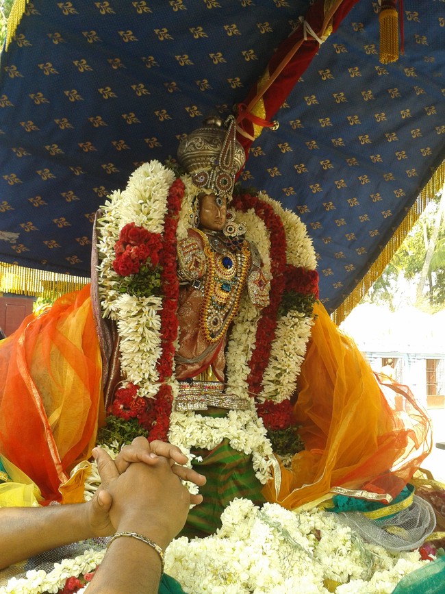 Villivakkam Sowmya damodara perumal Kovil Vaikasi Brahmotsavam Theerthavari 2014 10