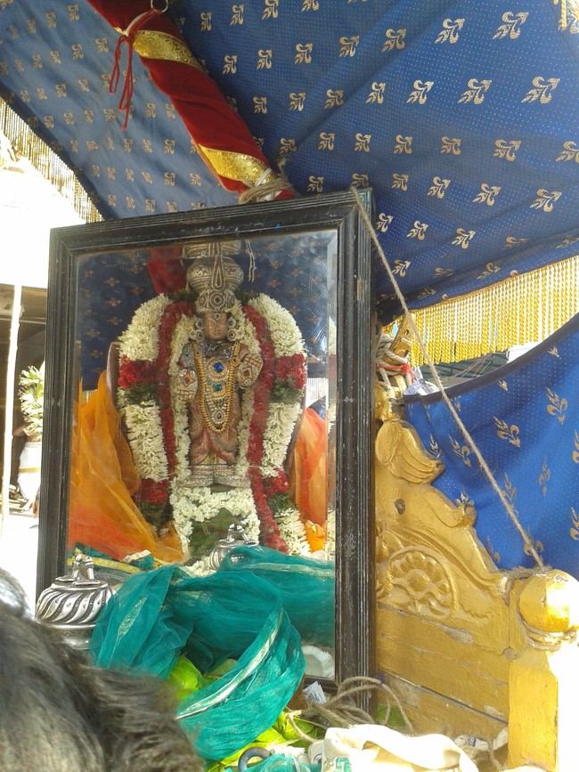Villivakkam Sowmya damodara perumal Kovil Vaikasi Brahmotsavam Theerthavari 2014 12