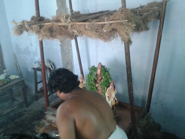 Villivakkam Sowmya damodara perumal Kovil Vaikasi Brahmotsavam Theerthavari 2014 16
