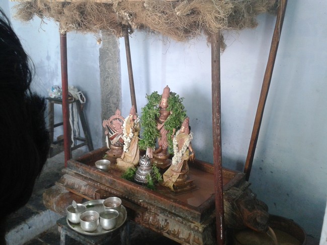 Villivakkam Sowmya damodara perumal Kovil Vaikasi Brahmotsavam Theerthavari 2014 17