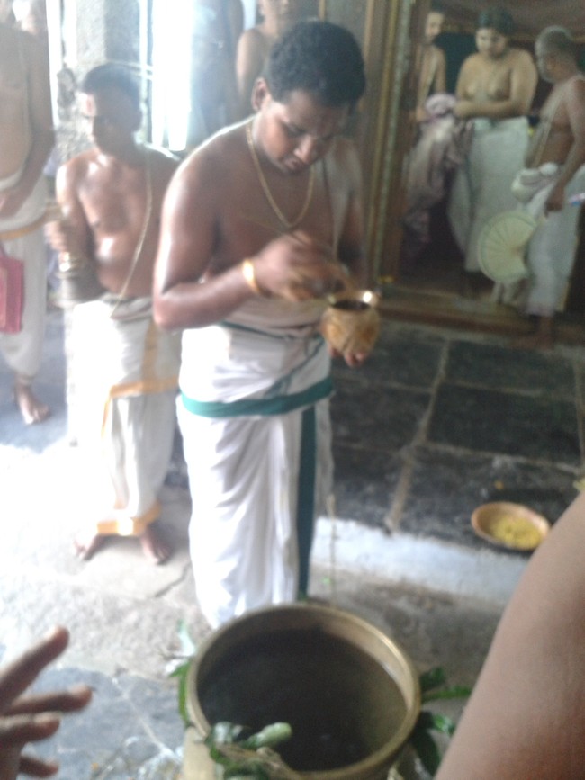 Villivakkam Sowmya damodara perumal Kovil Vaikasi Brahmotsavam Theerthavari 2014 18