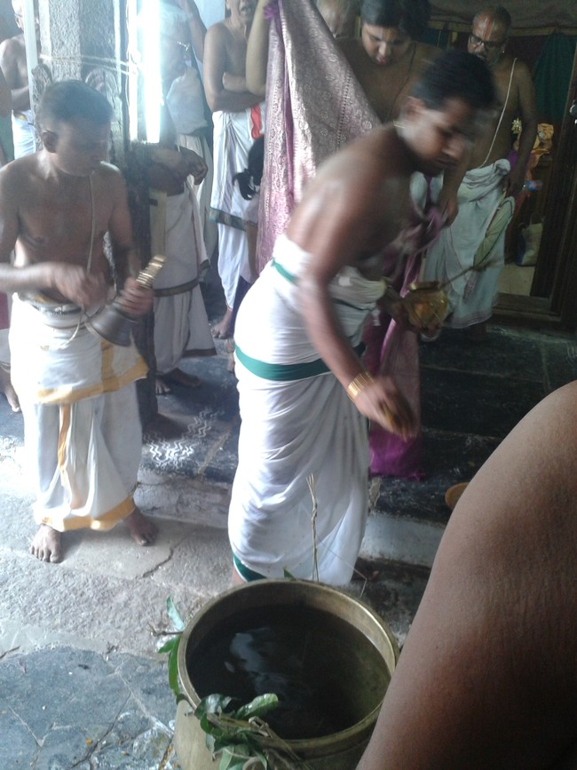 Villivakkam Sowmya damodara perumal Kovil Vaikasi Brahmotsavam Theerthavari 2014 19