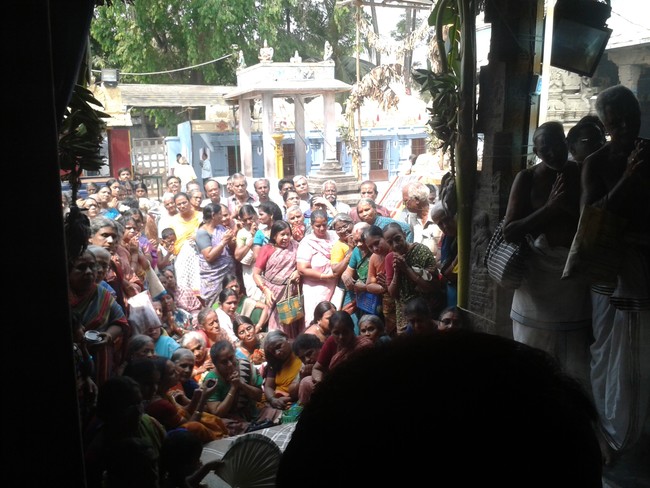 Villivakkam Sowmya damodara perumal Kovil Vaikasi Brahmotsavam Theerthavari 2014 20