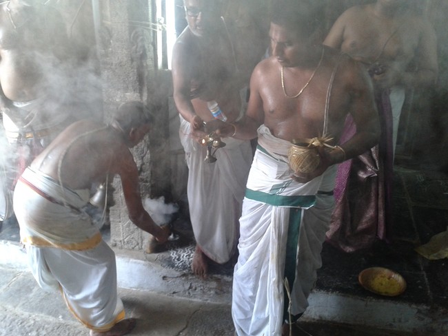 Villivakkam Sowmya damodara perumal Kovil Vaikasi Brahmotsavam Theerthavari 2014 21