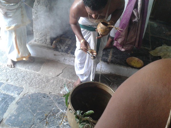 Villivakkam Sowmya damodara perumal Kovil Vaikasi Brahmotsavam Theerthavari 2014 22