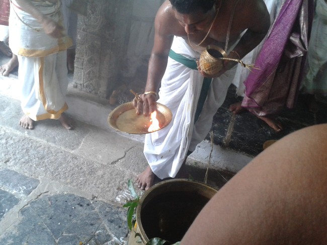 Villivakkam Sowmya damodara perumal Kovil Vaikasi Brahmotsavam Theerthavari 2014 26