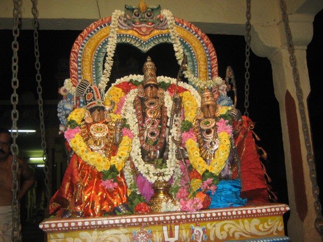 West Mambalam Kothandaramasamy temple Punarvasu utsavam2014--02