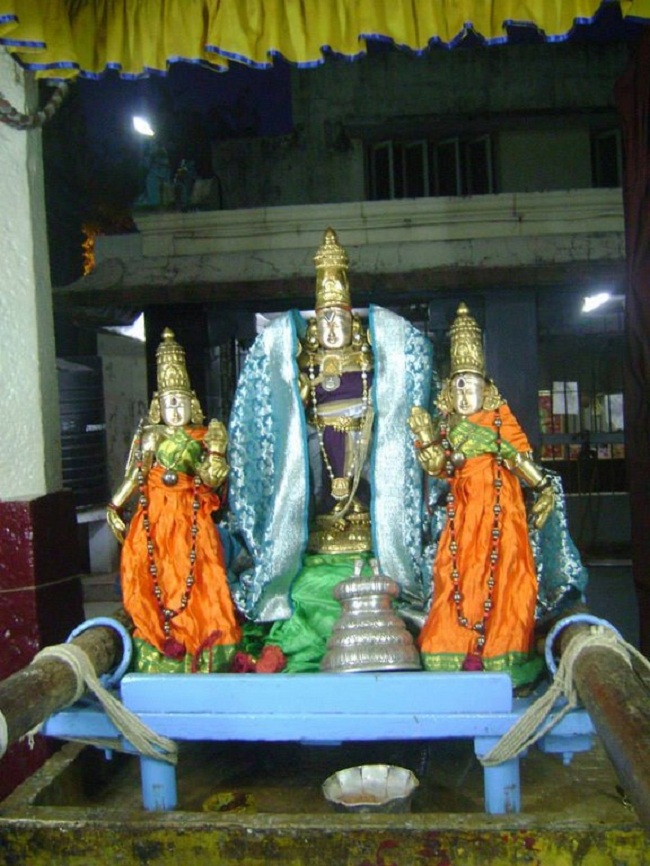 aminjikarai Sri Prasanna Varadharaja Perumal Temple Kodai Uthsavam 16
