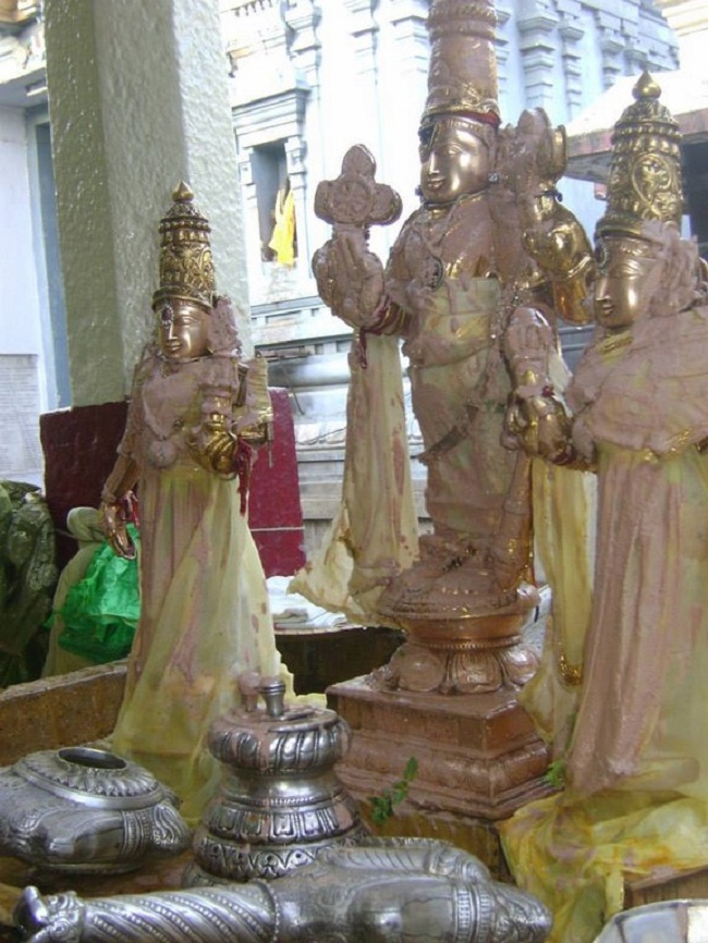 aminjikarai Sri Prasanna Varadharaja Perumal Temple Kodai Uthsavam 29