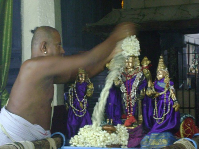 aminjikarai Sri Prasanna Varadharaja Perumal Temple Kodai Utsavam1