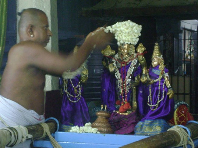 aminjikarai Sri Prasanna Varadharaja Perumal Temple Kodai Utsavam4