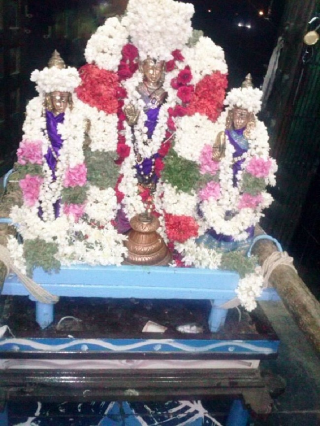 aminjikarai Sri Prasanna Varadharaja Perumal Temple Kodai Utsavam9