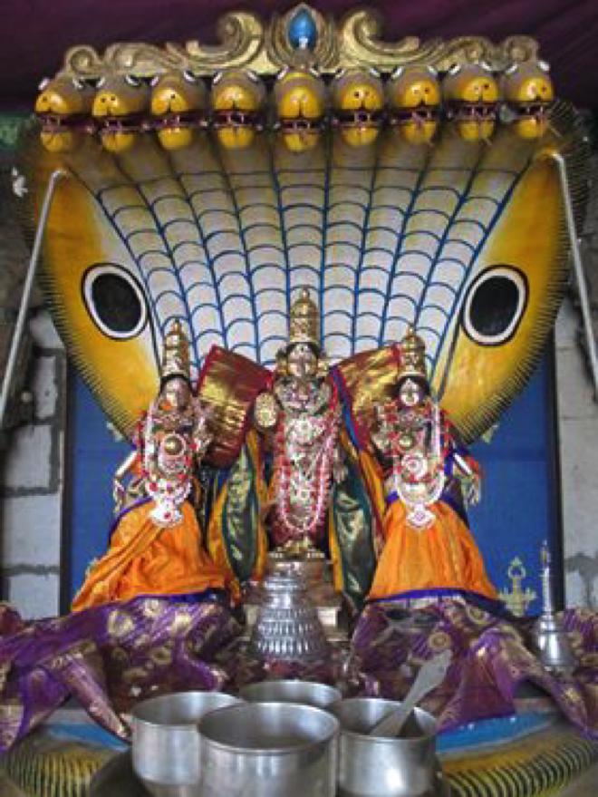 narasingapuram pushpa yagam_01