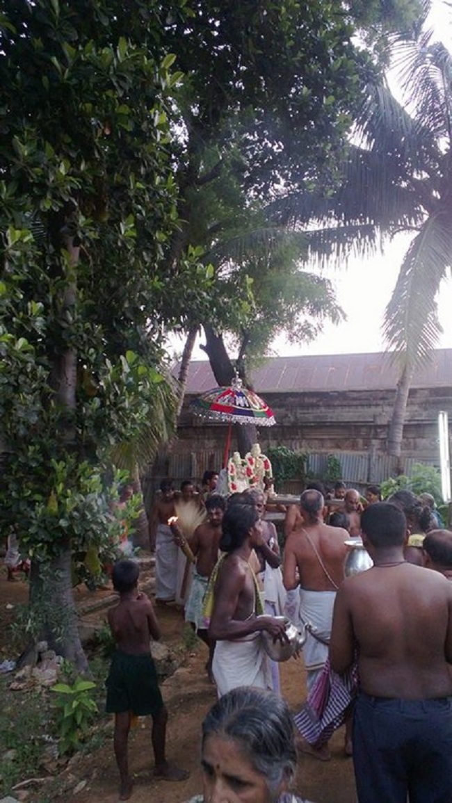 vanamamalai Sri Deivanayaga perumal vasanthotsavam 10
