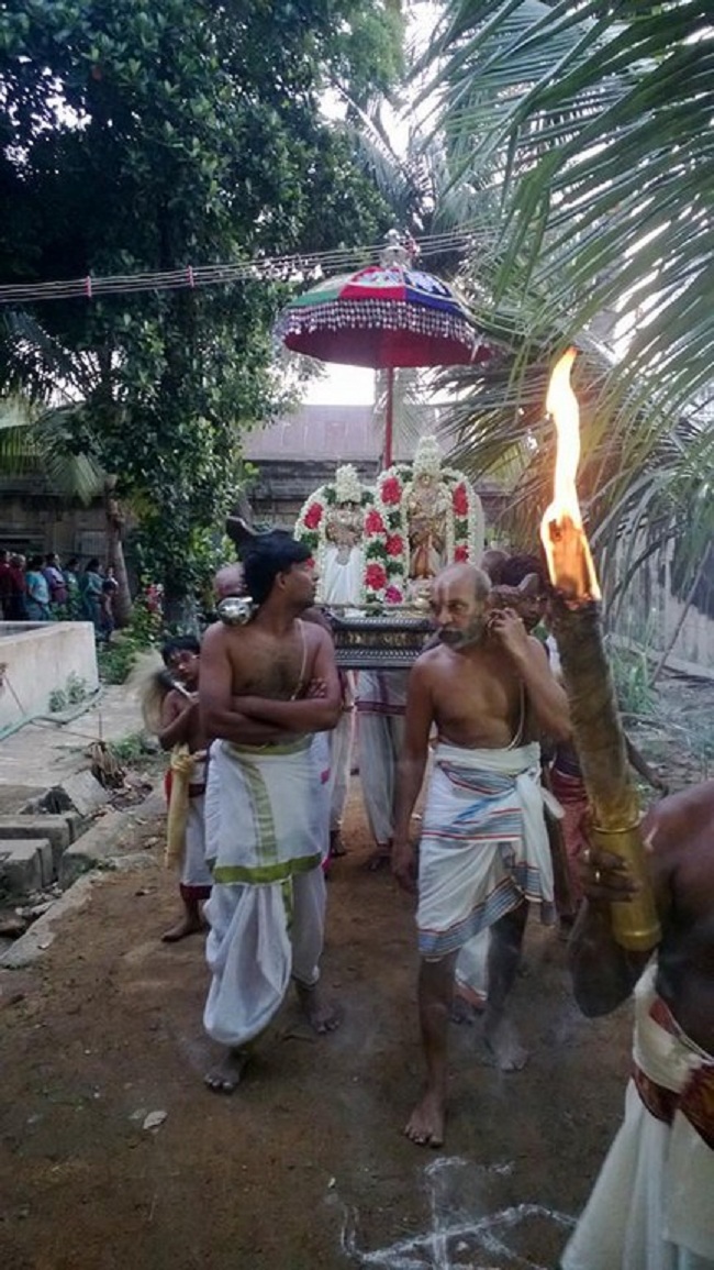 vanamamalai Sri Deivanayaga perumal vasanthotsavam 15