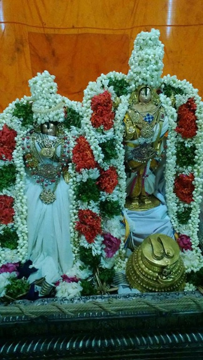 vanamamalai Sri Deivanayaga perumal vasanthotsavam 17