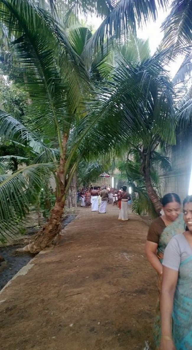 vanamamalai Sri Deivanayaga perumal vasanthotsavam 8