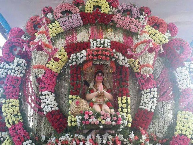 Aanivara Asthanam At Tirumala Sri Malayappaswamy Temple2