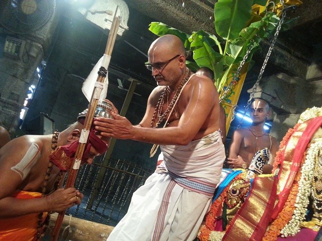 Aanivara Asthanam At Tirupathi Sri Kothanda Ramar Temple1