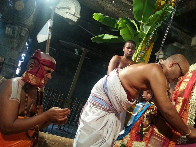 Aanivara Asthanam At Tirupathi Sri Kothanda Ramar Temple2