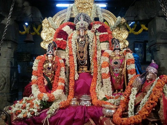 Aanivara Asthanam At Tirupathi Sri Kothanda Ramar Temple3