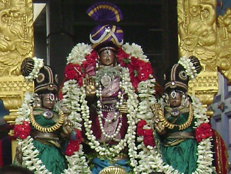 Adhikesava Perumal Ekadasi Purappadu