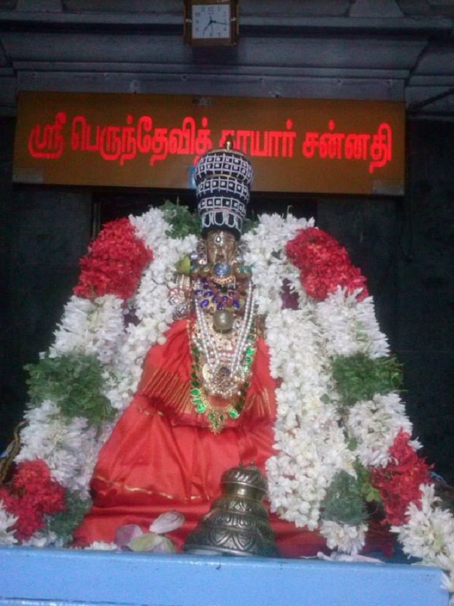 Aminjikarai Sri Perundevi Thayar Aadi Vellikizhamai Purappadu15