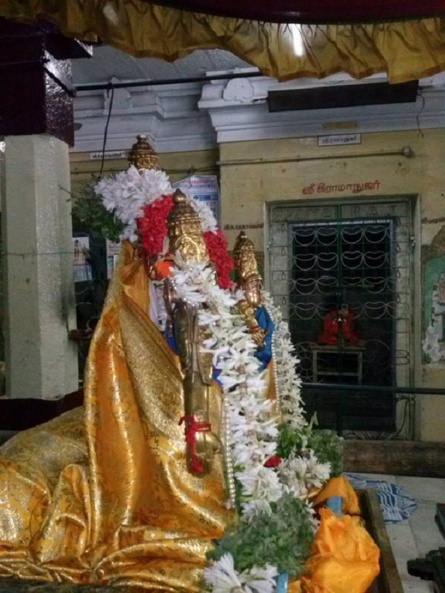 Aminjikarai Sri Prasanna Varadharaja Perumal Temple Aani Sravana Purappadu10