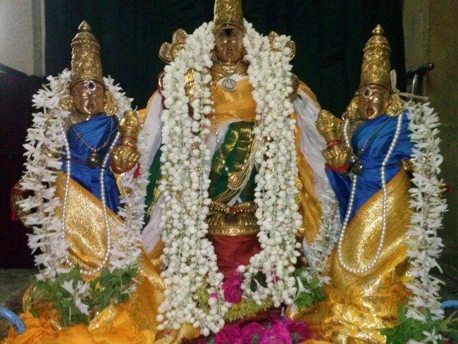 Aminjikarai Sri Prasanna Varadharaja Perumal Temple Aani Sravana Purappadu12