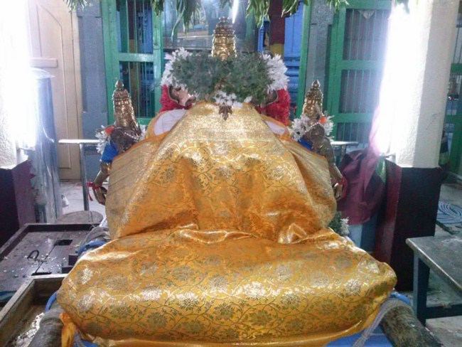Aminjikarai Sri Prasanna Varadharaja Perumal Temple Aani Sravana Purappadu15