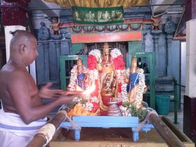 Aminjikarai Sri Prasanna Varadharaja Perumal Temple Aani Sravana Purappadu17