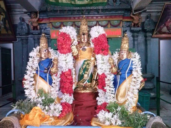 Aminjikarai Sri Prasanna Varadharaja Perumal Temple Aani Sravana Purappadu3