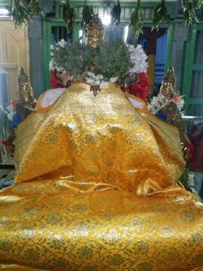 Aminjikarai Sri Prasanna Varadharaja Perumal Temple Aani Sravana Purappadu6