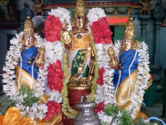 Aminjikarai Sri Prasanna Varadharaja Perumal Temple Aani Sravana Purappadu8