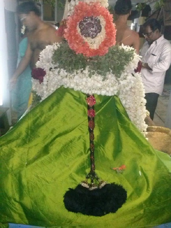 Aminjikarai Sri Prasanna Varadharaja Perumal Temple Sri Andal Thiruvadipooram Utsavam18